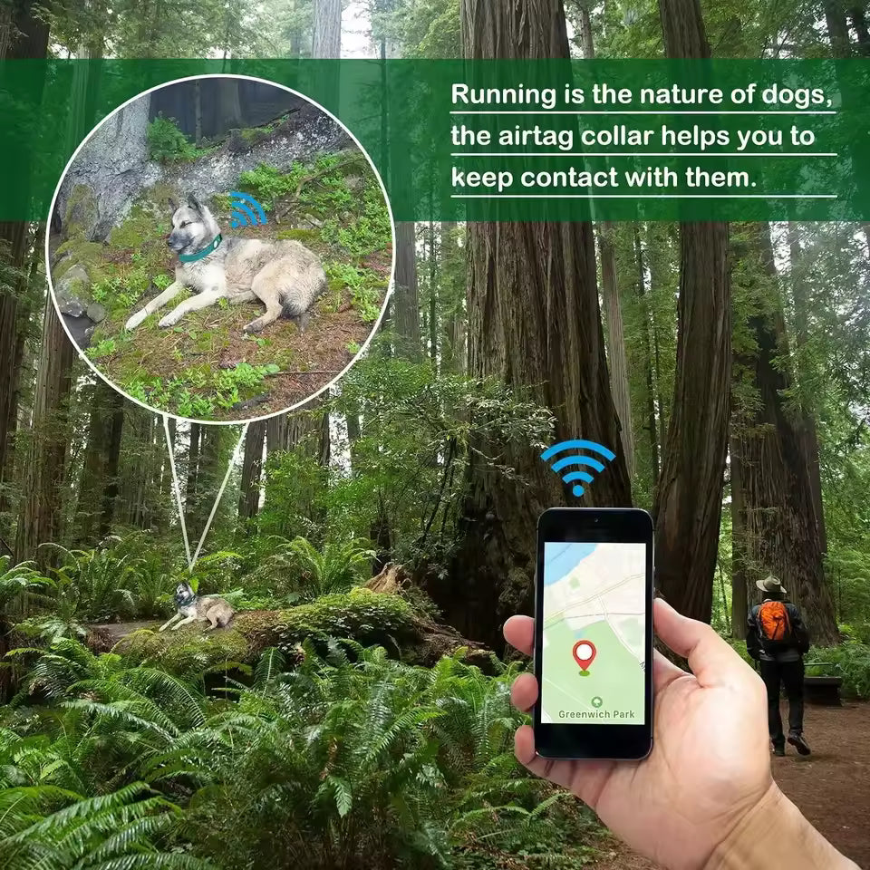 Haustier-Ortungshalsband – Für die Sicherheit deiner Fellnase 🐾