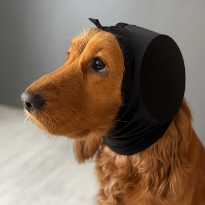 KuschelKappe - Premium Ohren- & Lärmschutz für Hunde. Ideal für Silvester und auf Reisen.