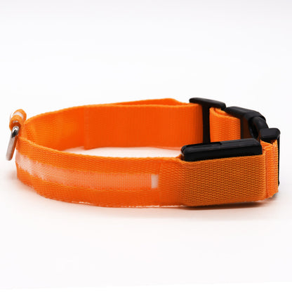 BrightBuddy LED-Hundehalsband – Mehr Sicherheit für deinen Liebling