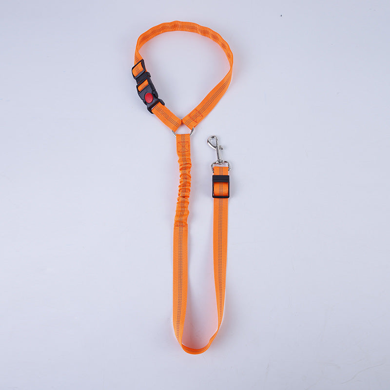 🐾 SafeDrive – Die komfortable Hundeleine für Autofahrten