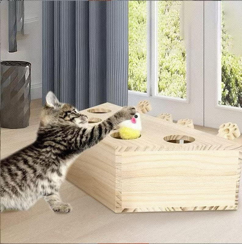 Interaktives Katzenbrett-Spielzeug. 🐱 Spielen, Kratzen & Lernen – alles in einem