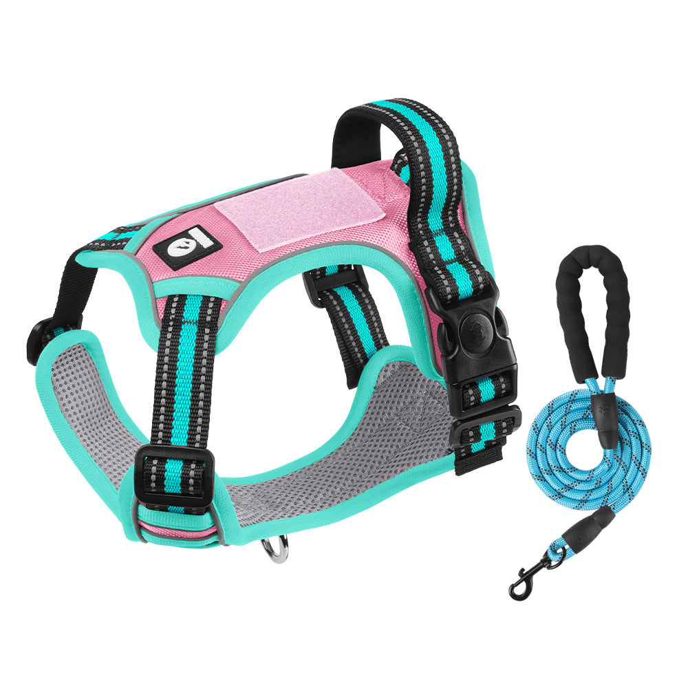 Hundegeschirr mit Leine – Für sichere & komfortable Spaziergänge 🐕‍🦺