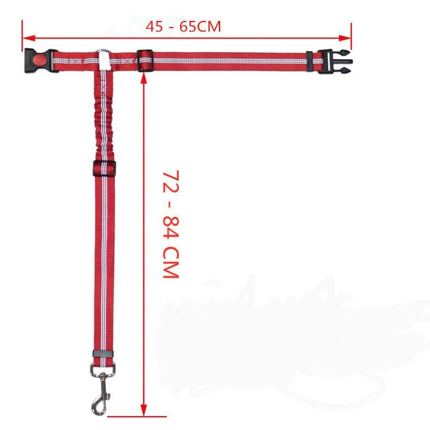 🐾 SafeDrive – Die komfortable Hundeleine für Autofahrten