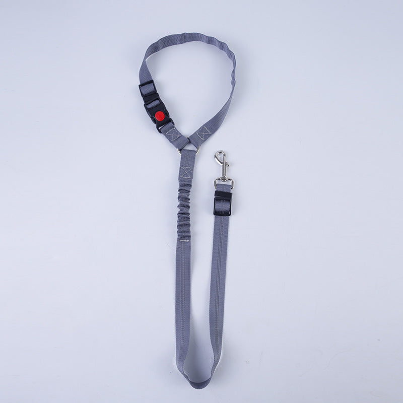 🐾 SafeDrive – Die komfortable Hundeleine für Autofahrten