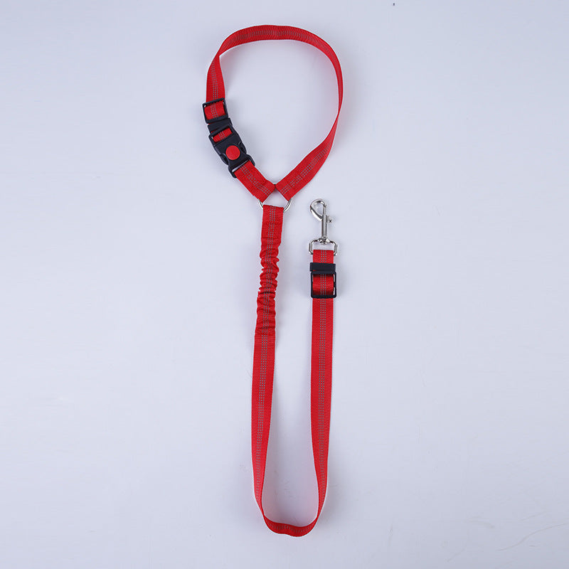 🐾 SafeDrive – Die komfortable Hundeleine für Autofahrten