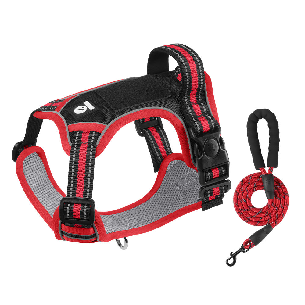 Hundegeschirr mit Leine – Für sichere & komfortable Spaziergänge 🐕‍🦺