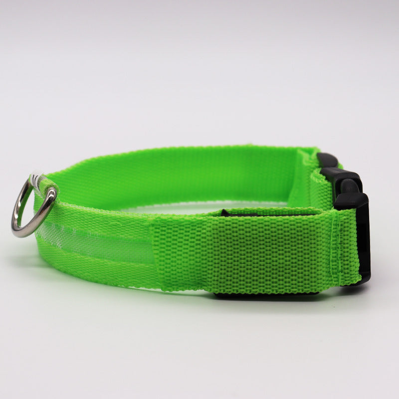 BrightBuddy LED-Hundehalsband – Mehr Sicherheit für deinen Liebling