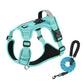 Hundegeschirr mit Leine – Für sichere & komfortable Spaziergänge 🐕‍🦺