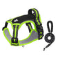 Hundegeschirr mit Leine – Für sichere & komfortable Spaziergänge 🐕‍🦺