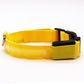 BrightBuddy LED-Hundehalsband – Mehr Sicherheit für deinen Liebling