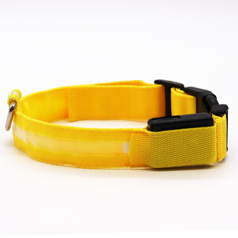 BrightBuddy LED-Hundehalsband – Mehr Sicherheit für deinen Liebling