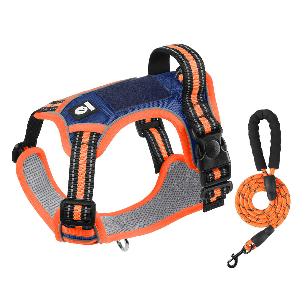 Hundegeschirr mit Leine – Für sichere & komfortable Spaziergänge 🐕‍🦺