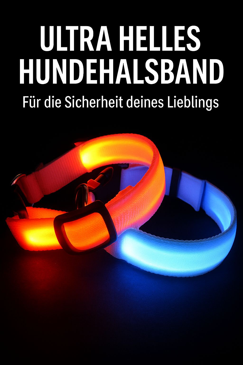 BrightBuddy LED-Hundehalsband – Mehr Sicherheit für deinen Liebling