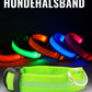 BrightBuddy LED-Hundehalsband – Mehr Sicherheit für deinen Liebling